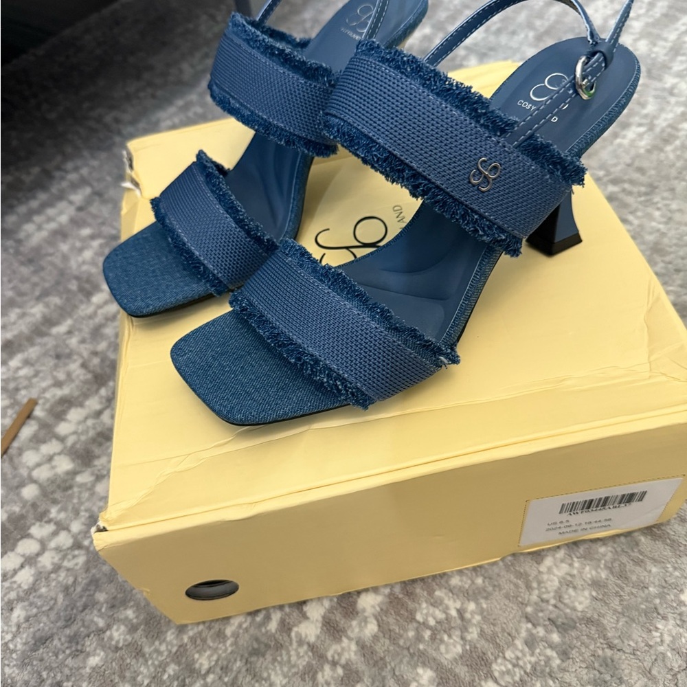 Cozy Casual Blue Heels with Double Strap Design